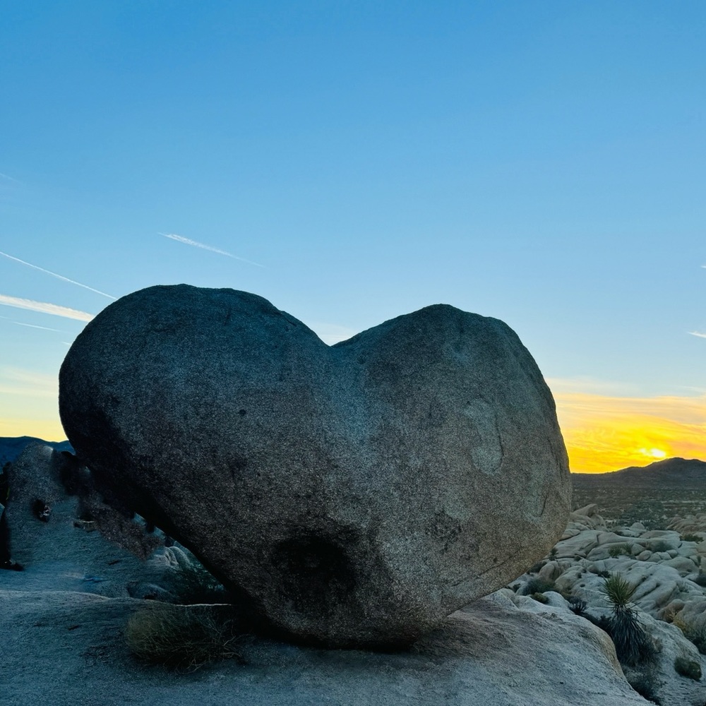 Meet your Posher, Inas